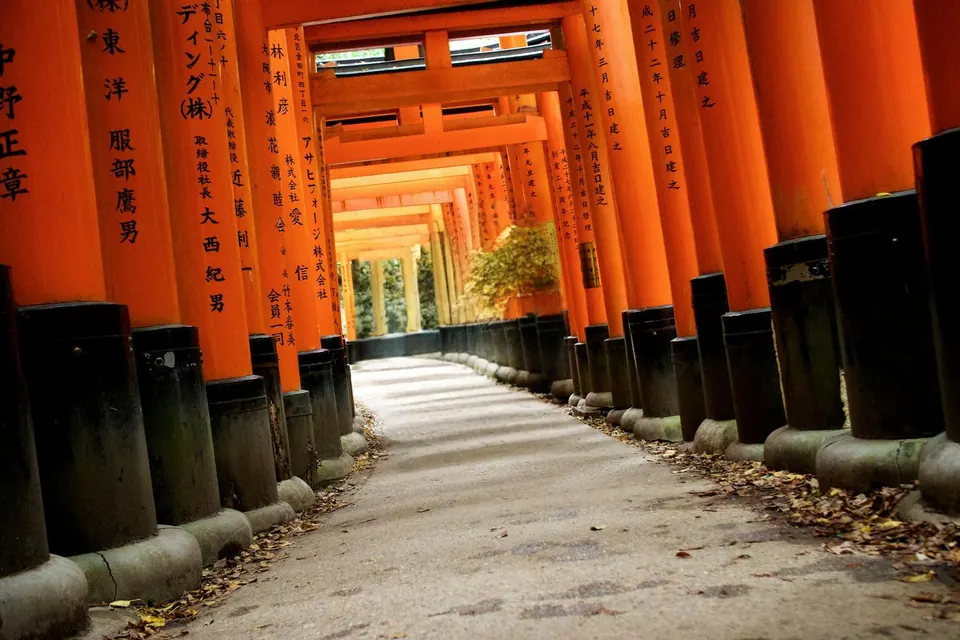 After: the empty torii gate path in Kyoto